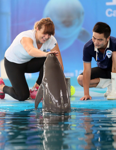 文章的关键 文章的关键