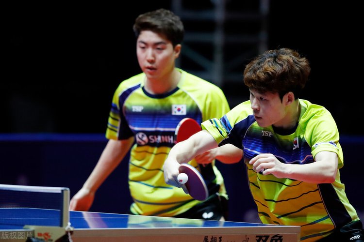 无缘法网四 无缘法网四