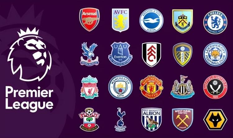 内经历了一 内经历了一